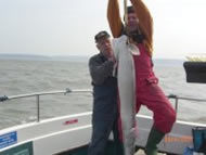 Conger Eel fishing in the Bristol Channel