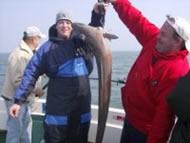 Conger Eel fishing in the Bristol Channel