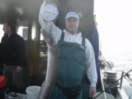 Conger Eel fishing in the Bristol Channel