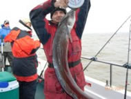 Conger Eel fishing in the Bristol Channel