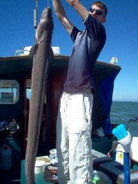 Conger Eel fishing in the Bristol Channel