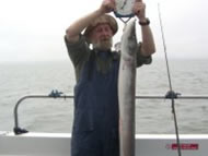 Conger Eel fishing in the Bristol Channel