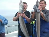 Conger Eel fishing in the Bristol Channel