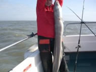 Conger Eel fishing in the Bristol Channel