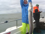 Conger Eel fishing in the Bristol Channel