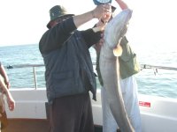 Conger Eel fishing in the Bristol Channel