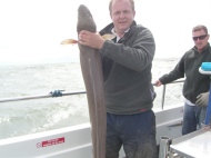 Conger Eel fishing in the Bristol Channel