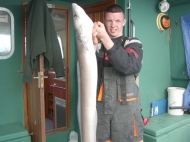 Conger Eel fishing in the Bristol Channel