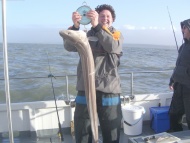 Conger Eel fishing in the Bristol Channel