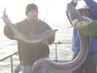 Conger Eel fishing in the Bristol Channel