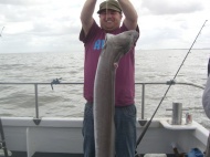 Conger Eel fishing in the Bristol Channel