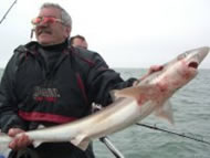 Tope fishing in the Bristol Channel