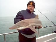 Tope fishing in the Bristol Channel