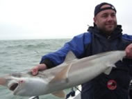 Tope fishing in the Bristol Channel