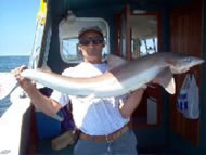 Tope fishing in the Bristol Channel