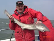 Tope fishing in the Bristol Channel