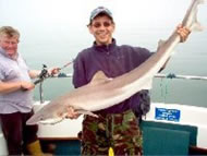 Tope fishing in the Bristol Channel