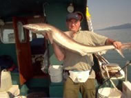 Tope fishing in the Bristol Channel