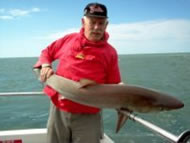 Tope fishing in the Bristol Channel