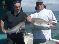 Tope fishing in the Bristol Channel