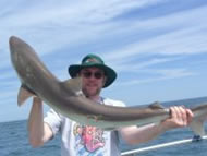 Tope fishing in the Bristol Channel