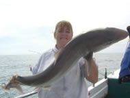 Tope fishing in the Bristol Channel