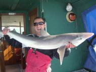 Tope fishing in the Bristol Channel