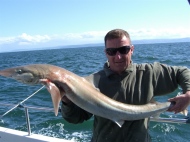 Tope fishing in the Bristol Channel