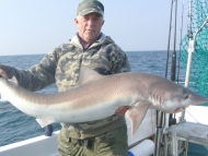 Tope fishing in the Bristol Channel