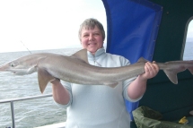 Tope fishing in the Bristol Channel