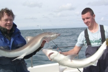 Tope fishing in the Bristol Channel