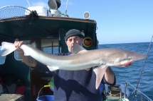 Tope fishing in the Bristol Channel