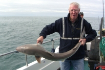 Tope fishing in the Bristol Channel