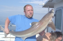 Tope fishing in the Bristol Channel