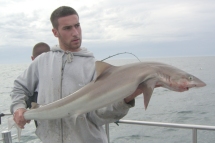 Tope fishing in the Bristol Channel