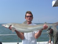 Tope fishing in the Bristol Channel