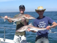 Tope fishing in the Bristol Channel