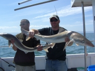 Tope fishing in the Bristol Channel