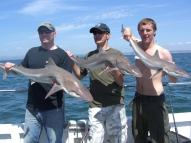 Tope fishing in the Bristol Channel