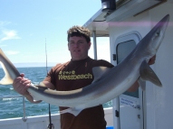 Tope fishing in the Bristol Channel