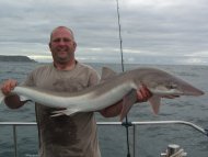 Tope fishing in the Bristol Channel